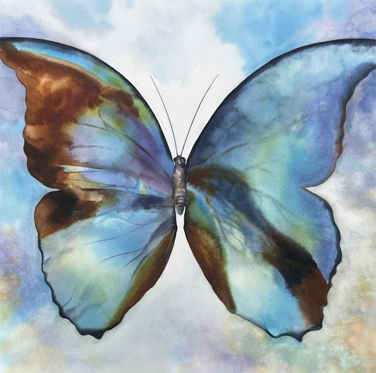 Blue Morpho Butterfly