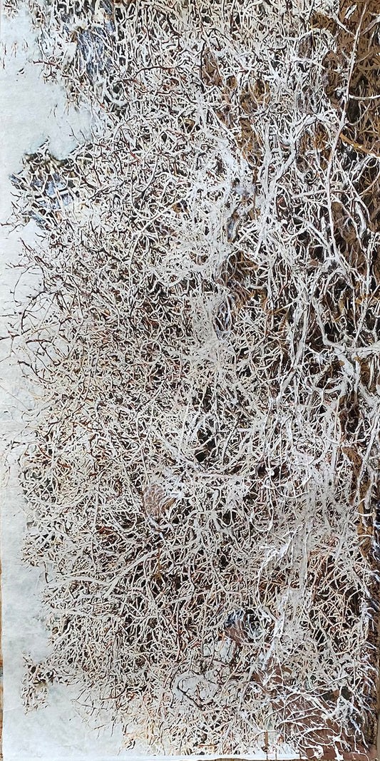 Symbiotic Relationships